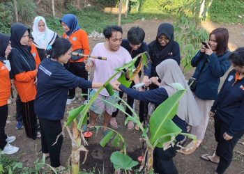Mahasiswa MMD UB 195 Kenalkan Teknik Biopori untuk Daerah Resapan Air Desa Bunutwetan